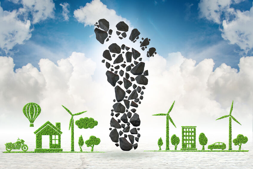 Carbon neutrality and investment