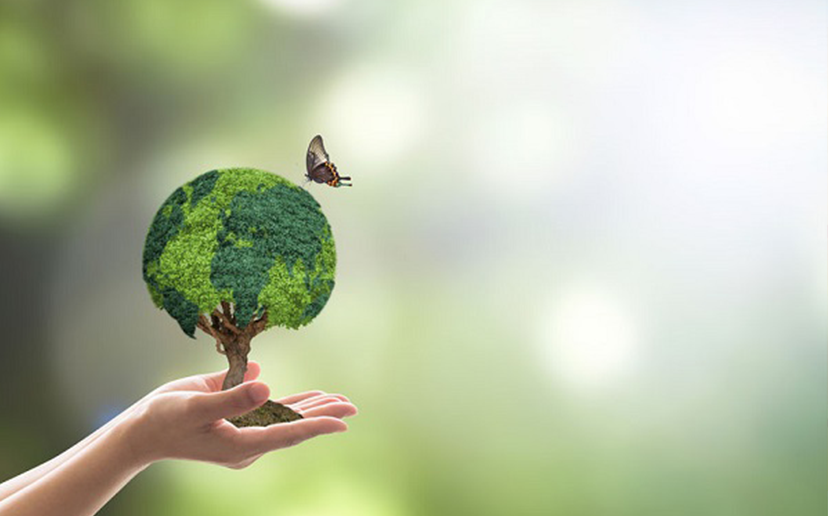 What can you learn from ESG indexes