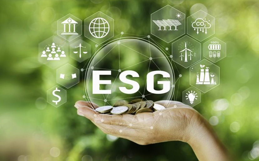 Investing from an ESG perspective